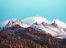 B体育官网：开启专业体育线上娱乐的新纪元